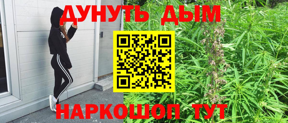 Бошки Шишки сатива Клинцы